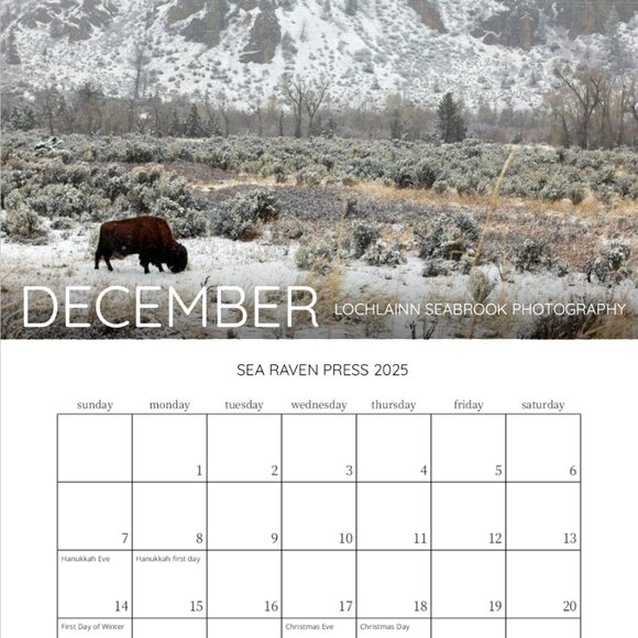 Mini 2025 Rocky Mountain Custom Wildlife Calendar For Small Spaces 11.5" x 8" - Picture 13 of 13